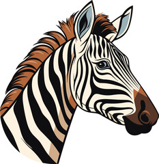 Zebra, striped horse, African savannah animal, cartoon vector