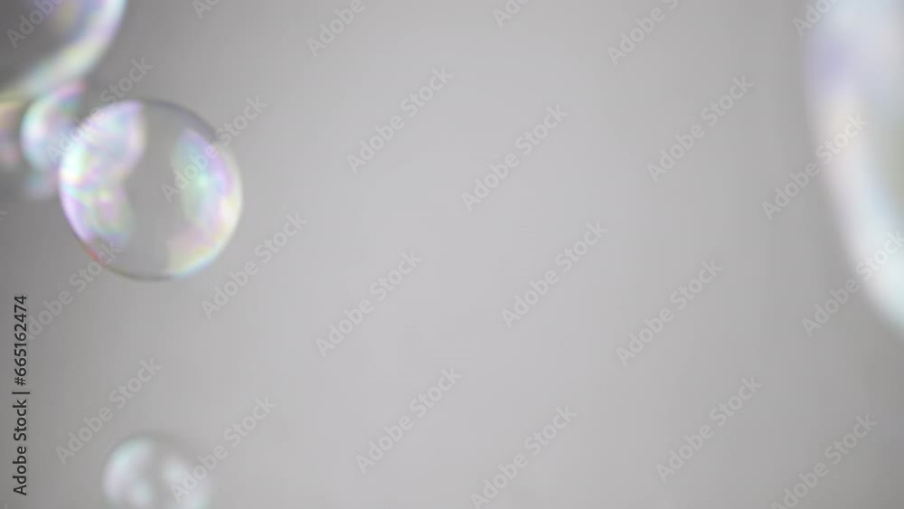 Poster group colorful soap bubbles moving on a gray background in empty space. close up. blowing large, sma