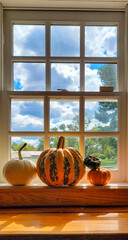 gourd and pumpkin in a window