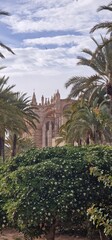 Fototapeta na wymiar timeless beauty of Mallorca Cathedral, also known as La Seu, with this stunning photograph. The magnificent Gothic architecture of this iconic religious landmark, combined with its stunning location o
