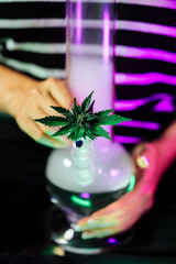 Woman smoking marijuana from water bong in neon light at home. Cannabis, hemp.