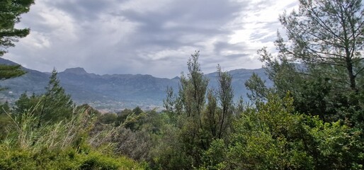 valley Surrounded by orchards of fruit trees and orange trees, we find the town of Sóller with its historic center of narrow cobbled streets full of elegant modernist mansions and traditional Mallorca