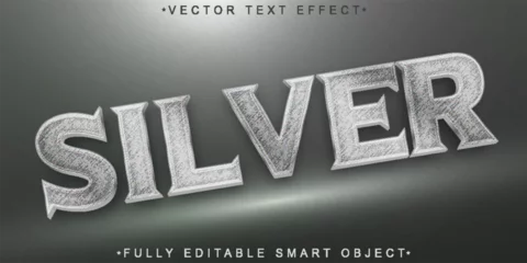 Fotobehang Silver Vector Fully Editable Smart Object Text Effect © HUMA