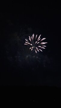 Vertical video of variety of fireworks slowly taking off and exploding in the night sky. Real luxury pyrotechnic show with huge sparkling balls and shining sparks on black background.