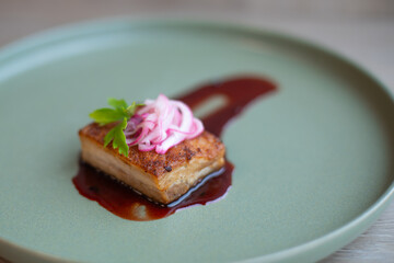 Sous Vide Pork Belly with Pickled Red Onion and Cilantro on a Light Green Plate