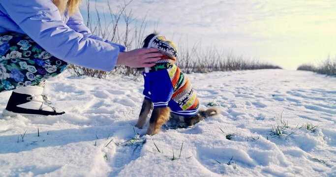 Spending time with your dog outside in the winter.
