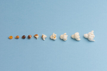  A creative display of popcorn kernels lined up in order of their popping stages on a soft green backdrop – an ideal representation of the snack’s transformation.