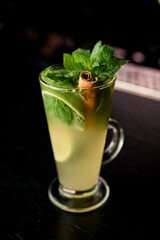 Gin and tonic cocktail with lime, garnished with fresh mint and cinnamon stick on blurred background