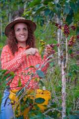 Woman worker in coffee plantations