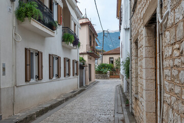 Fototapeta na wymiar Old town of city of Ioannina, Epirus, Greece