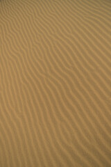 Sand 15 – Christopher Lisle