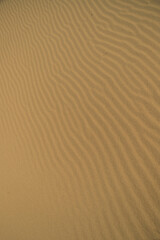 Sand 4 – Christopher Lisle