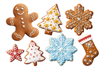 Set of tasty different gingerbread cookies