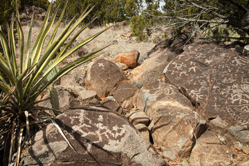 ancient petroglyphs on rock in a desert