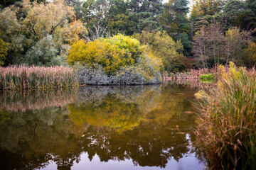 autumn in the Kennedy Park, New Ross