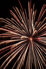 colorful fireworks exploding in the night sky in holiday celebration