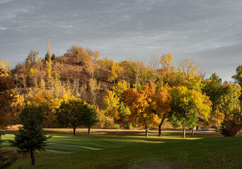 beautiful landscape of trees with autumn colors under cloudy skies