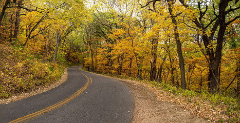 beautiful trees with autumn colors along a winding road