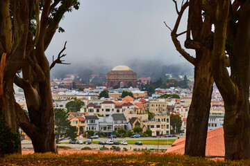 Thick tree trunks framing misty morning shot of Palace of Fine Arts open air rotunda in city