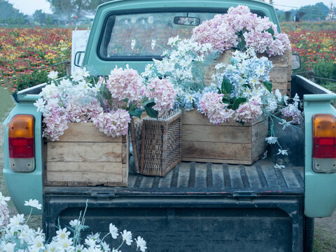 flower plant leaf blossom tree car auto pick up truck nature outdoor garden agriculture farm spring winter summer autumn season decoration green pink blue decoration delivery holiday botanical beauty