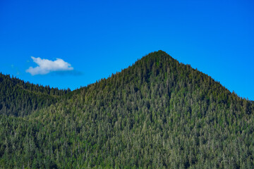 mountain peaks with green trees forest