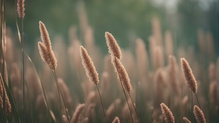 AI generated illustration of a wheat field - obrazy, fototapety, plakaty