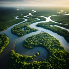 Fotobehang Aerial drone view of the Congo River  © PixelHD