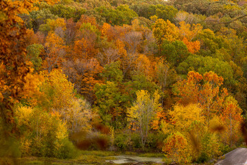 Fall colors by the lake.