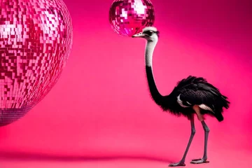 Fotobehang ostrich © Muhammad