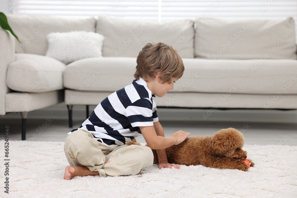 Poster Little child and cute puppy on carpet at home. Lovely pet