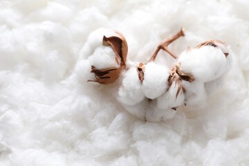 Soft flowers on clean cotton, closeup. Space for text