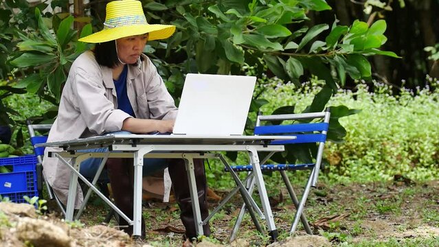 A gardener is checking information on the yield of his organic vegetables using a computer database. Modern farming concept without chemical fertilizers