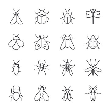 Set of bug and insect icon for web app simple line design