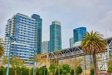 Palm tree beside railway bridge with San Francisco Skyscrapers in background