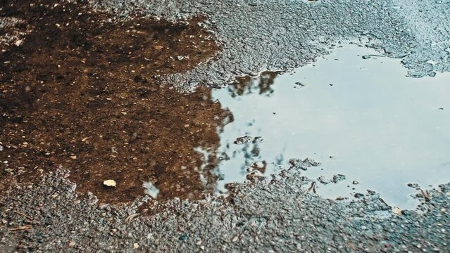 Rain Water Puddle on Concrete Sidewalk
