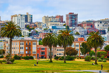 Alamo Square in summer with palm trees and view of city residential buildings on hill behind park