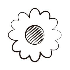 Vector doodle daisy vector illustration
