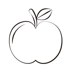 Vector doodle apple on white background