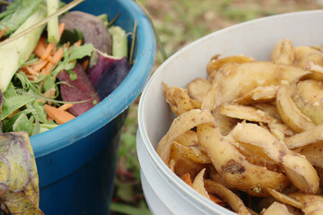 Selective collection of organic waste, food waste, such as vegetable peels, stalks and leaves,...
