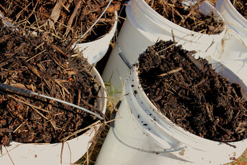 Fertilizer, organic compound or plant substrate stored in white buckets, collected from a compost...
