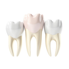 white teeth isolated on transparent background,transparency 