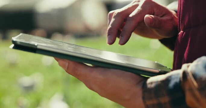 Person, farmer or hands on tablet for planning agriculture growth, harvest or poultry livestock research in nature. Closeup, technology or chicken farm worker in digital quality control or inspection