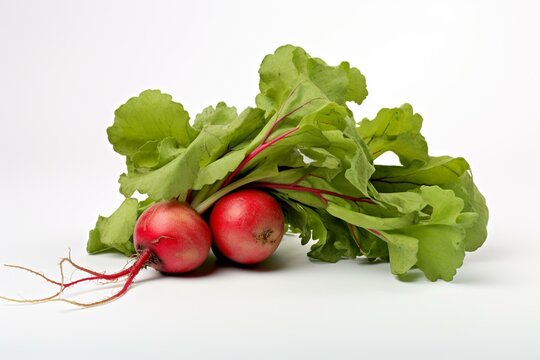 Isolated image of a radish with foliage. Generative AI