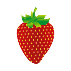Vector hand drawn strawberry fruit illustration