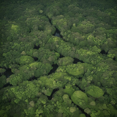 Dense Amazon rainforest area, Generative AI