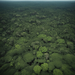 Dense Amazon rainforest area, Generative AI