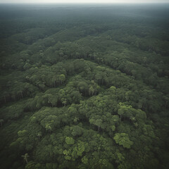 Dense Amazon rainforest area, Generative AI