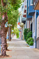 Trees lining uphill sidewalk with pastel colored entrances to residential buildings