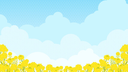 満開の菜の花と青空の風景（横向き16:9）