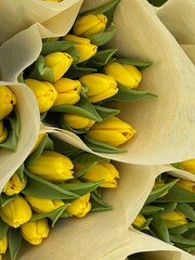 yellow tulips at the New York Flower Market